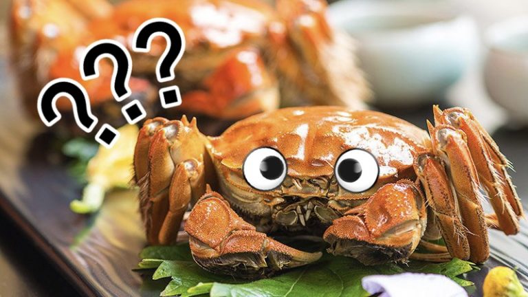 [恒顺香醋]醋吃多了,真的会变成大闸蟹吗?